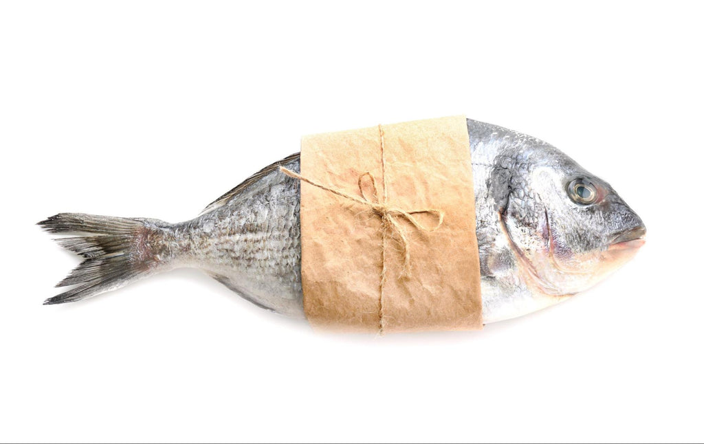 A Spotlight on Eco-Friendly Seafood Packaging